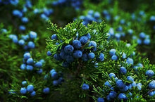 Load image into Gallery viewer, Soap - Juniper &amp; Evergreen
